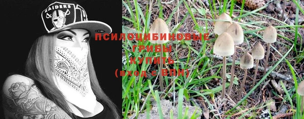 дживик Верея