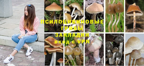 МДМА Волоколамск
