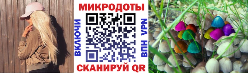 Галлюциногенные грибы GOLDEN TEACHER Кинель